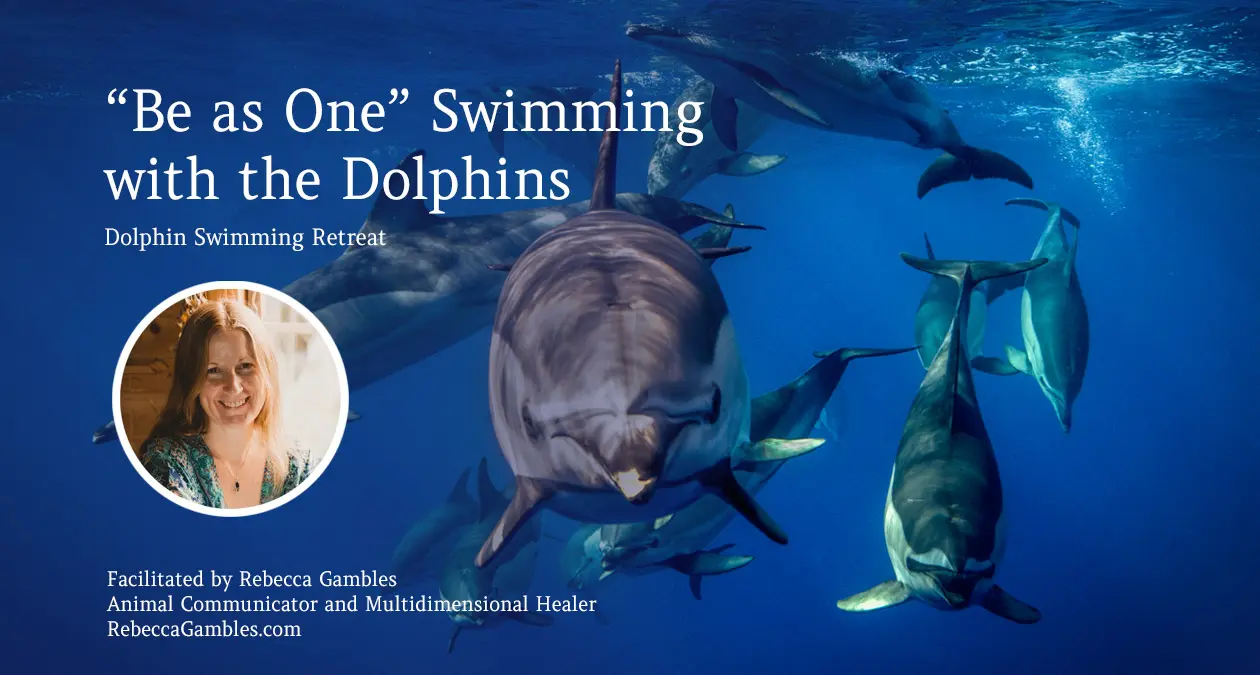 “Be-as-One” Swimming with the Dolphins
